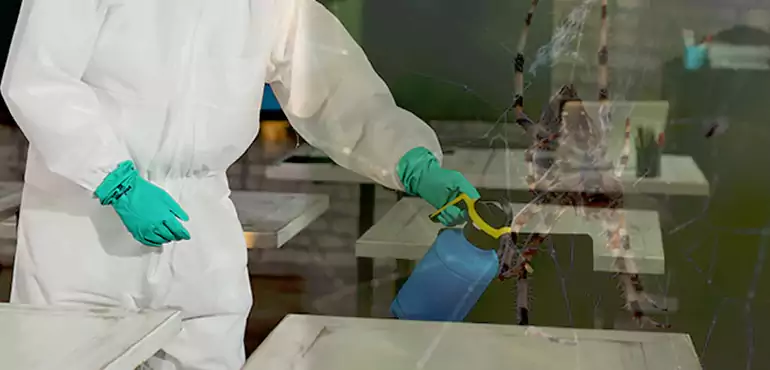 Why Buyers Still Want Homes With Pest Infestations in Tampa, FL?