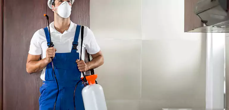 Why Tampa Homeowners Choose Us When Pests Make Selling Difficult