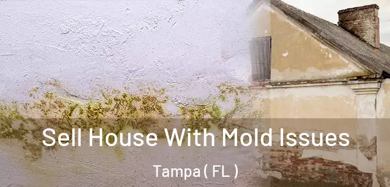  Sell House With Mold Issues Tampa ( FL )